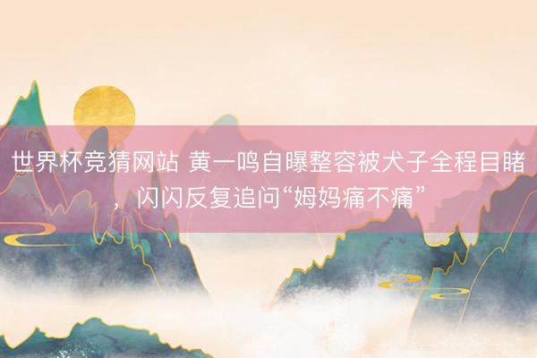 世界杯竞猜网站 黄一鸣自曝整容被犬子全程目睹,闪闪反复追问“姆妈痛不痛”