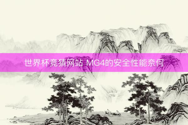 世界杯竞猜网站 MG4的安全性能奈何