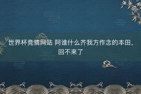 世界杯竞猜网站 阿谁什么齐我方作念的本田，回不来了