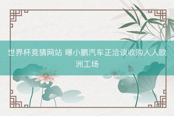 世界杯竞猜网站 曝小鹏汽车正洽谈收购人人欧洲工场