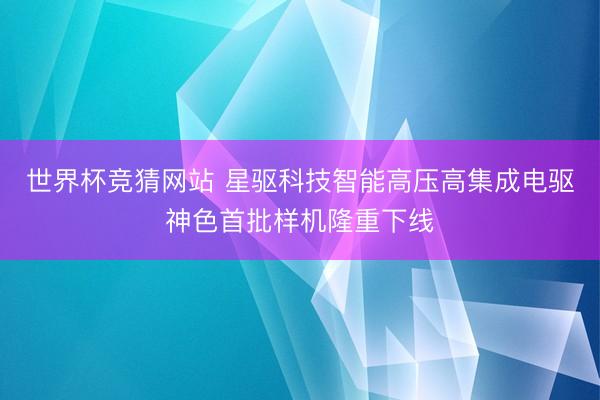 世界杯竞猜网站 星驱科技智能高压高集成电驱神色首批样机隆重下线