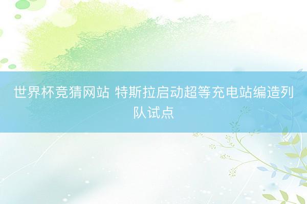 世界杯竞猜网站 特斯拉启动超等充电站编造列队试点