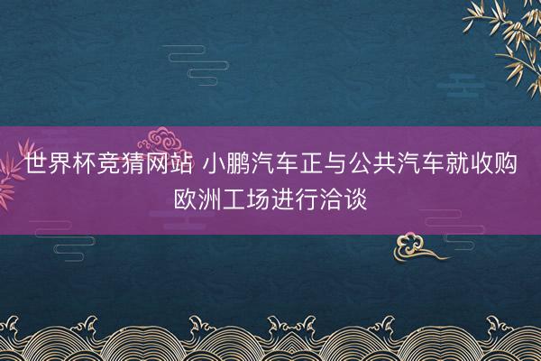 世界杯竞猜网站 小鹏汽车正与公共汽车就收购欧洲工场进行洽谈