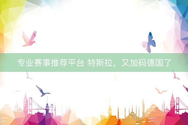 专业赛事推荐平台 特斯拉，又加码德国了