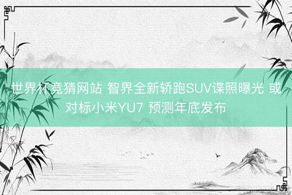 世界杯竞猜网站 智界全新轿跑SUV谍照曝光 或对标小米YU7 预测年底发布