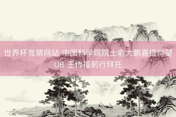 世界杯竞猜网站 中国科学院院士俞大鹏喜提仰望U8 王传福躬行拜托