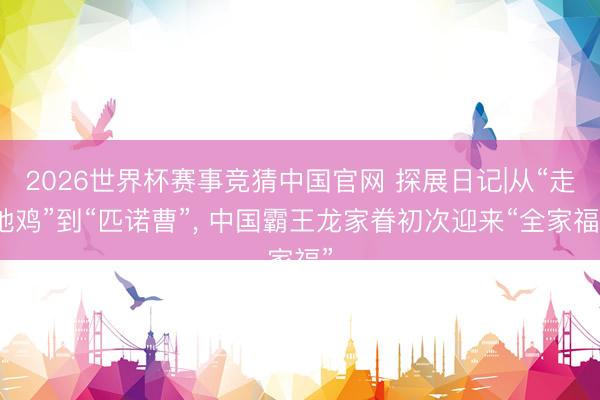 2026世界杯赛事竞猜中国官网 探展日记|从“走地鸡”到“匹诺曹”， 中国霸王龙家眷初次迎来“全家福”