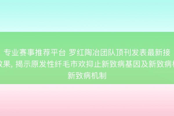 专业赛事推荐平台 罗红陶冶团队顶刊发表最新接头效果， 揭示原发性纤毛市欢抑止新致病基因及新致病机制
