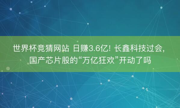 世界杯竞猜网站 日赚3.6亿! 长鑫科技过会， 国产芯片股的“万亿狂欢”开动了吗