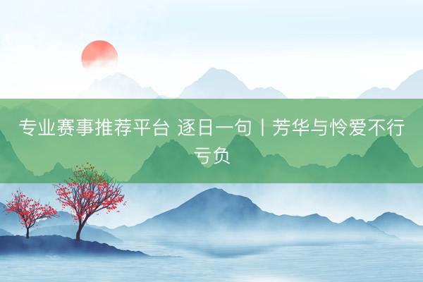 专业赛事推荐平台 逐日一句丨芳华与怜爱不行亏负