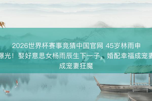 2026世界杯赛事竞猜中国官网 45岁林雨申现状曝光！娶好意思女杨雨辰生下一子，婚配幸福成宠妻狂魔