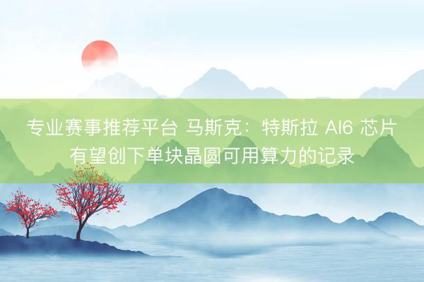专业赛事推荐平台 马斯克：特斯拉 AI6 芯片有望创下单块晶圆可用算力的记录