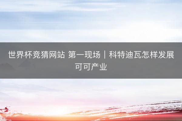 世界杯竞猜网站 第一现场|科特迪瓦怎样发展可可产业