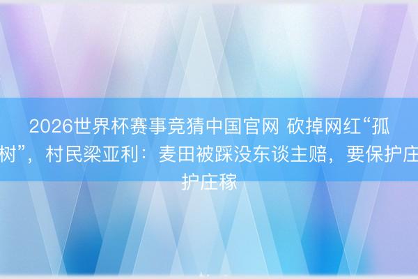 2026世界杯赛事竞猜中国官网 砍掉网红“孤单树”，村民梁亚利：麦田被踩没东谈主赔，要保护庄稼
