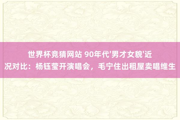 世界杯竞猜网站 90年代'男才女貌'近况对比:杨钰莹开演唱会,毛宁住出租屋卖唱维生